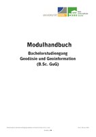 BSc GuG - MHB - 02-2020.pdf