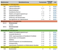 BSc Modulhandbuch